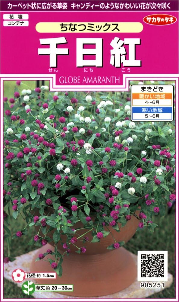 Amazon サカタのタネ 実咲花5251 千日紅 ちなつミックス 花