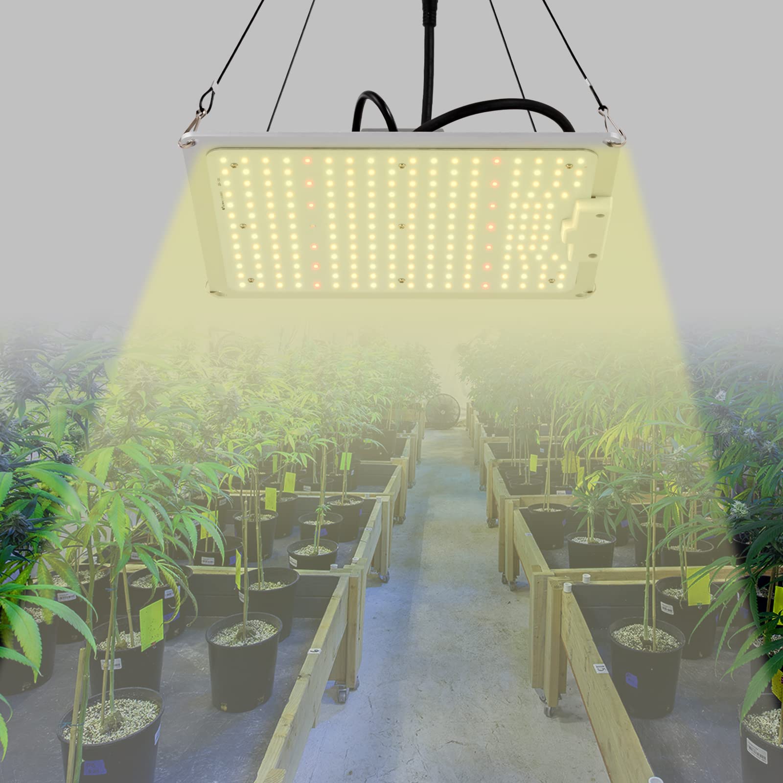 Lámpara LED de cultivo de 100 W de espectro completo para plantas de interior, verduras, flores, con placa LED IP65 impermeable