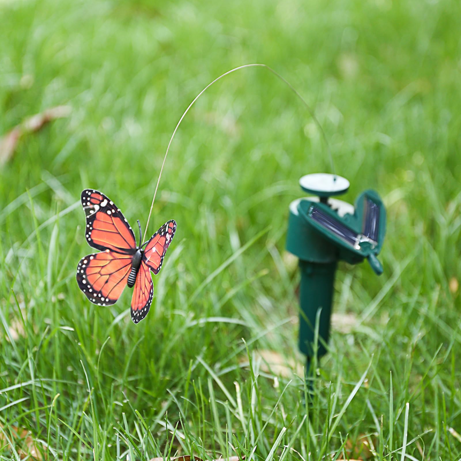 Farfalle danzanti svolazzanti e colibrì volanti alimentati a energia solare, decorazione per giardino e cortile