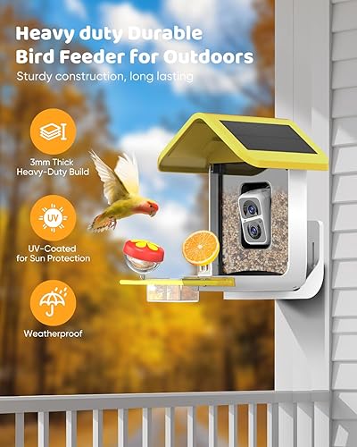 Miniatura 17 de Comedero para pájaros con cámara alimentado por energía solar: alimentador de pájaros con cámara inteligente de vapor en vivo 2K para exteriores