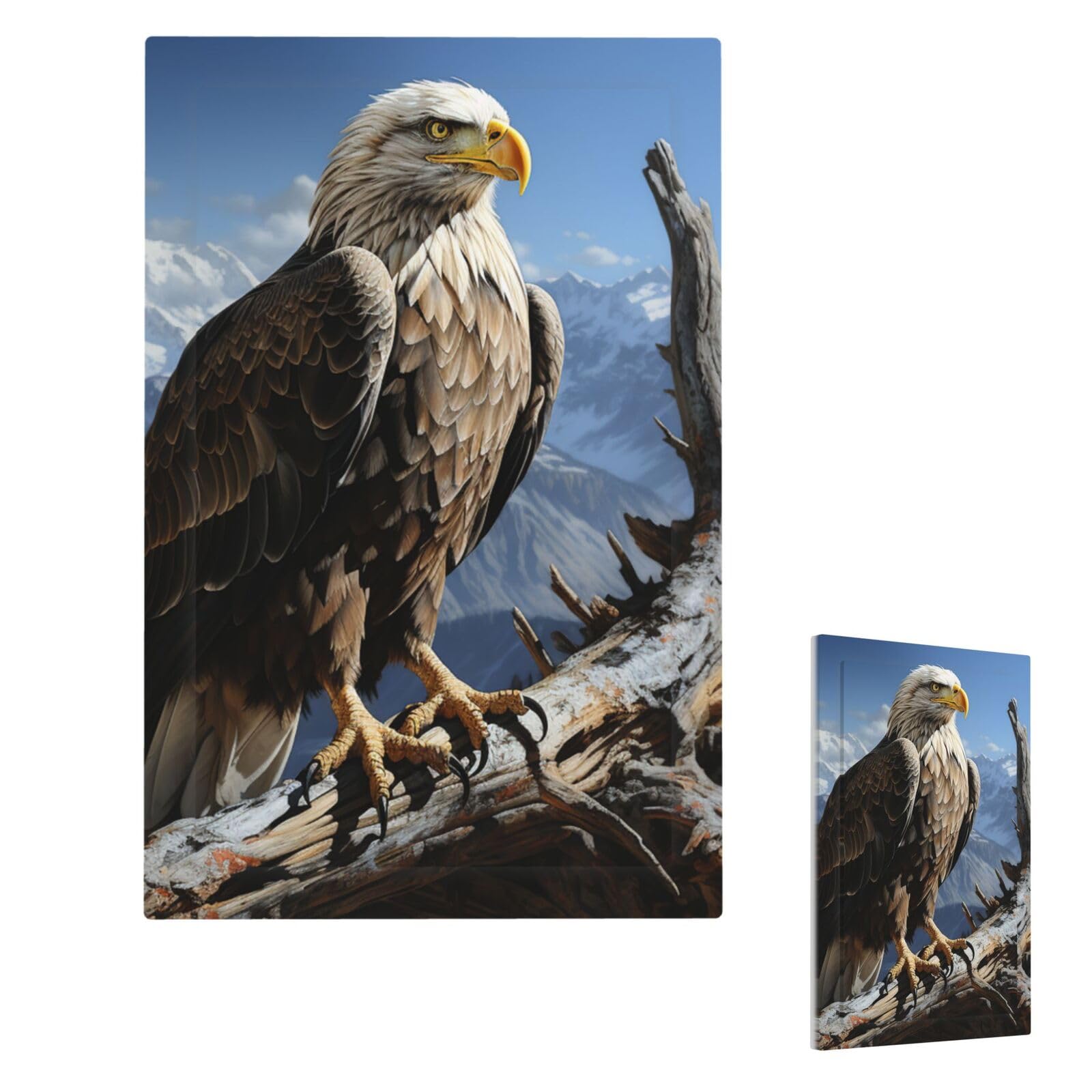 A Lone Eagle Wall Plate Cover Modern Decorative 1 Gang Light Switch Cover Unbreakable Receptacle Outlet Covers For Living Room Bedroom Home Decor Single Blank