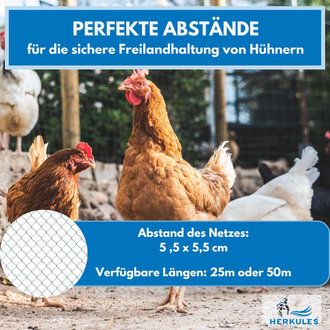 Herkules Geflügelnetz 50m x 120cm - Mobiler Geflügelzaun für Hühner - Stromloser Hühnerzaun mit engmaschigen und reißfesten Litzen - Geflügel Zaun inkl. 14 Weidezaunpfählen mit Doppelspitze