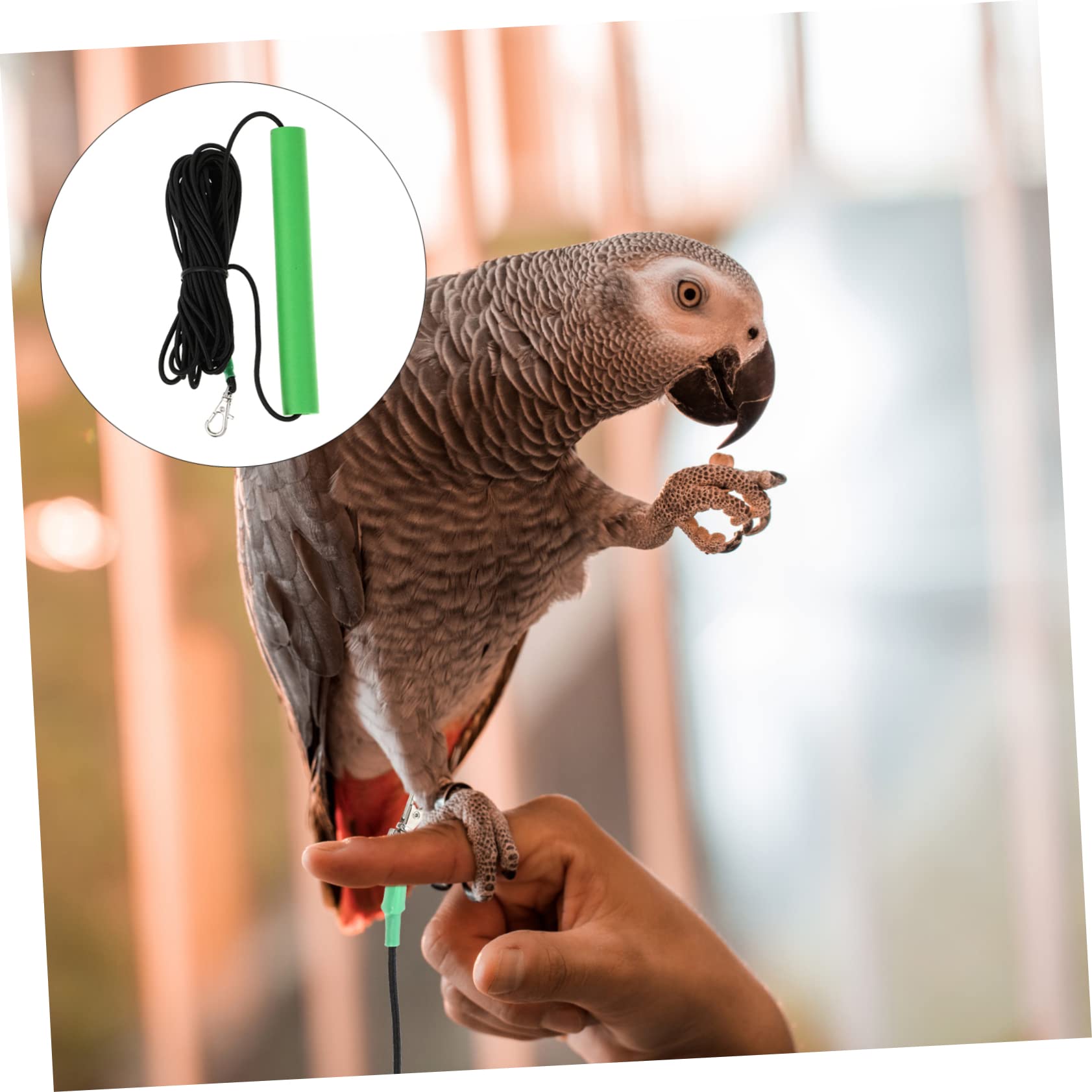 Hohopeti Arnés De Entrenamiento para Aves Cuerda De para Periquitos y Hámsters De Material y Cómodo para Paseos
