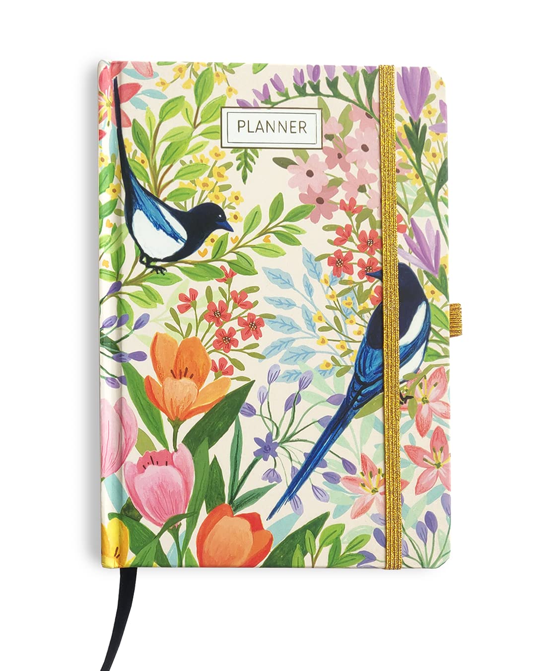 HAPPYWAGON | Summer Birds Undated Daily Planner and Journal | Daily Study & Work Planning | To-Do List | Productivity | Goals & Expense Tracker | Comes in Sturdy Box | Hardbound | 120 GSM | 300 Pages | (B0B4FW4LBG) Amazon Price History, Amazon Price Tracker