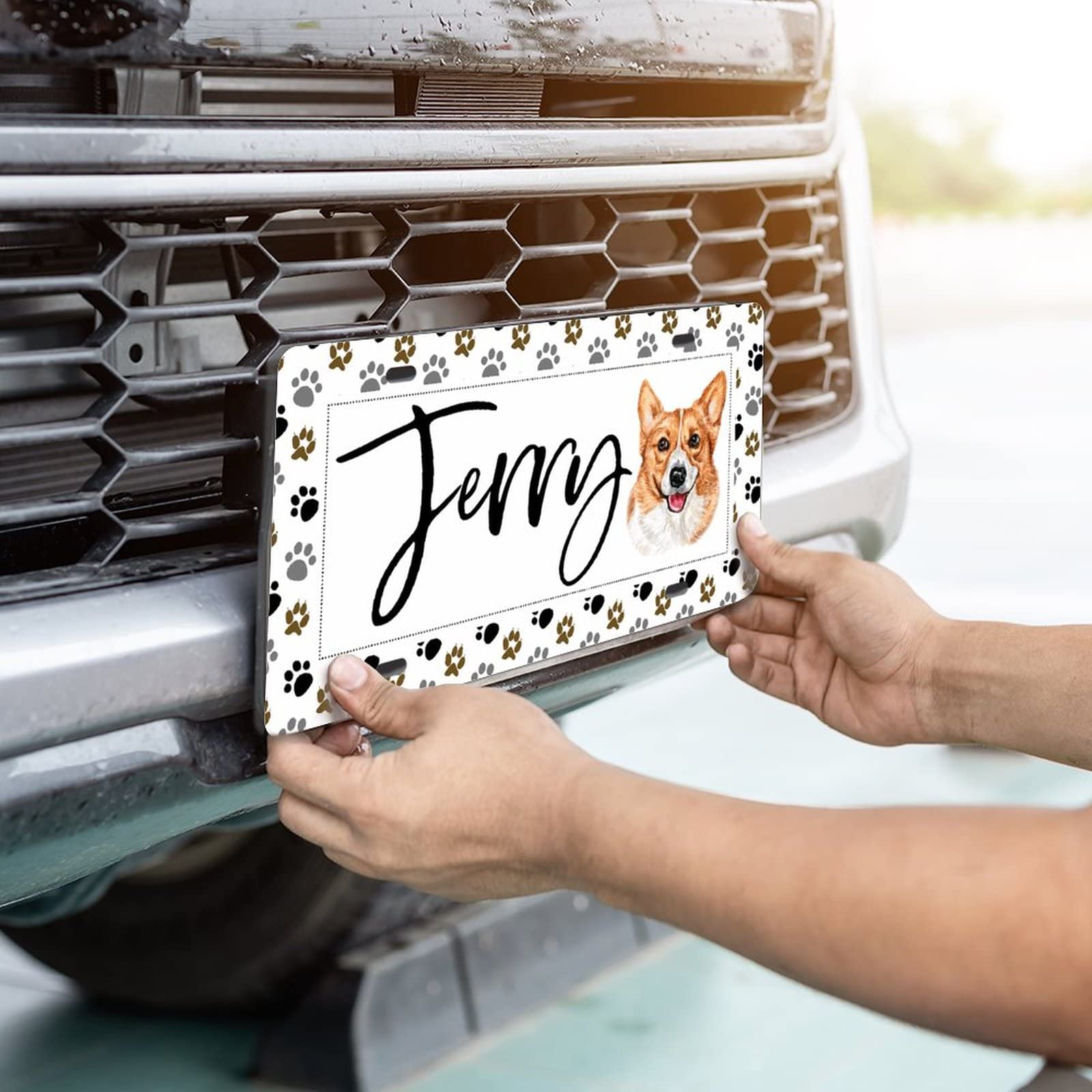 Kuromi License Plate Frame – Gothic Kawaii Car Accessory