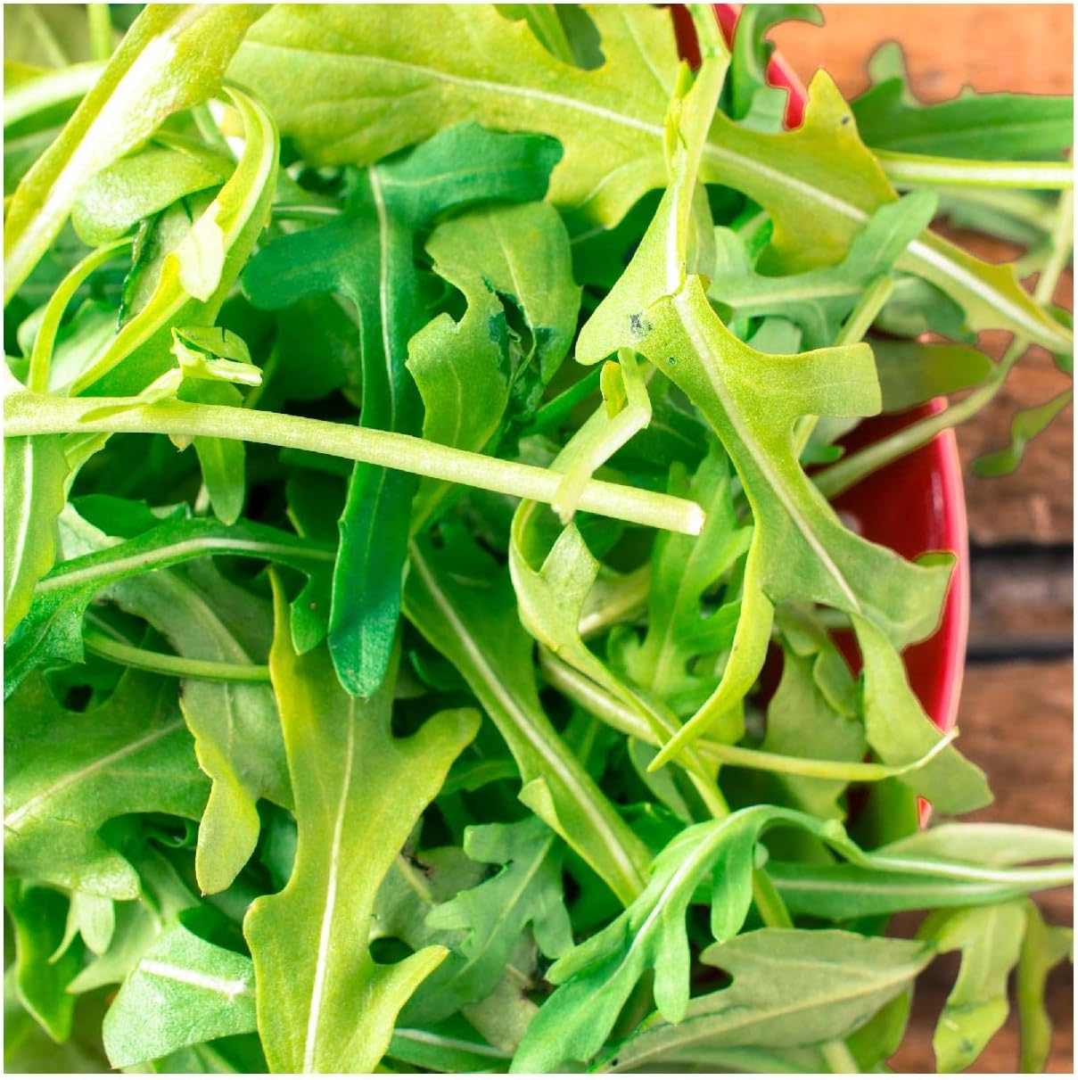 Everwilde Farms - 1/4 Lb Organic Roquette Arugula Herb Seeds - Gold Vault