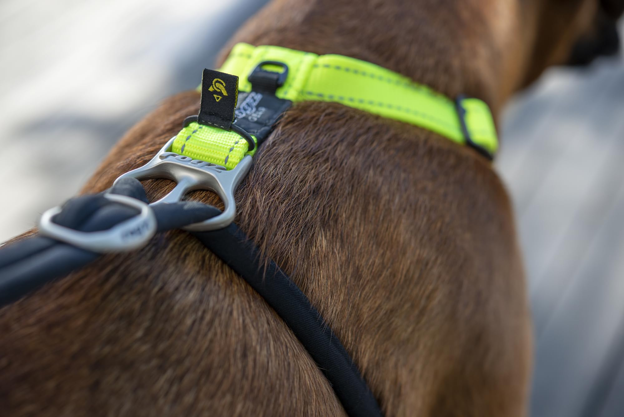 Rogz Stop Pull Arnés reflectante clásico grande negro para perro