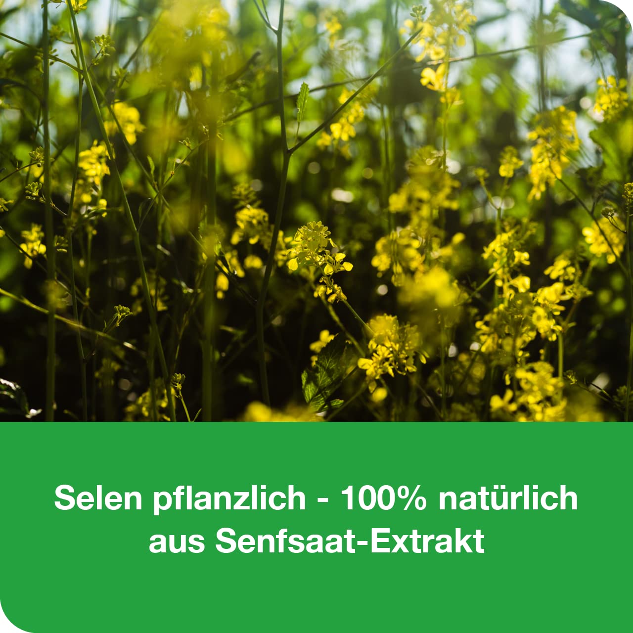 selen-Loges® 200 µg pflanzlich - 60 Filmtabletten - Nahrungsergänzungsmittel mit Selen