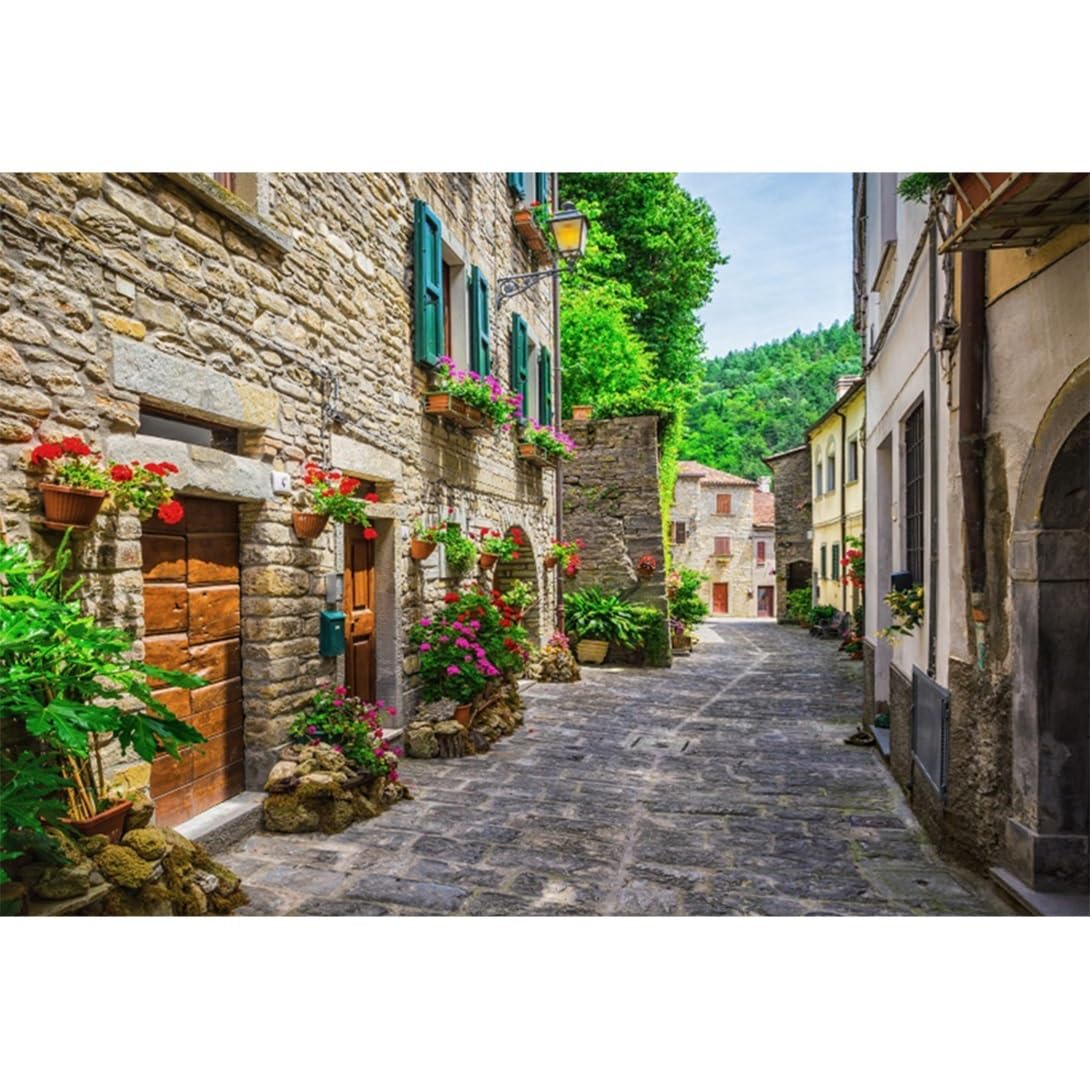 Vie Savaran 10x8ft European Building Backdrop Italy Street Stone Path Italian Vintage Town Alley Colorful Flower Architecture Natural Landscape