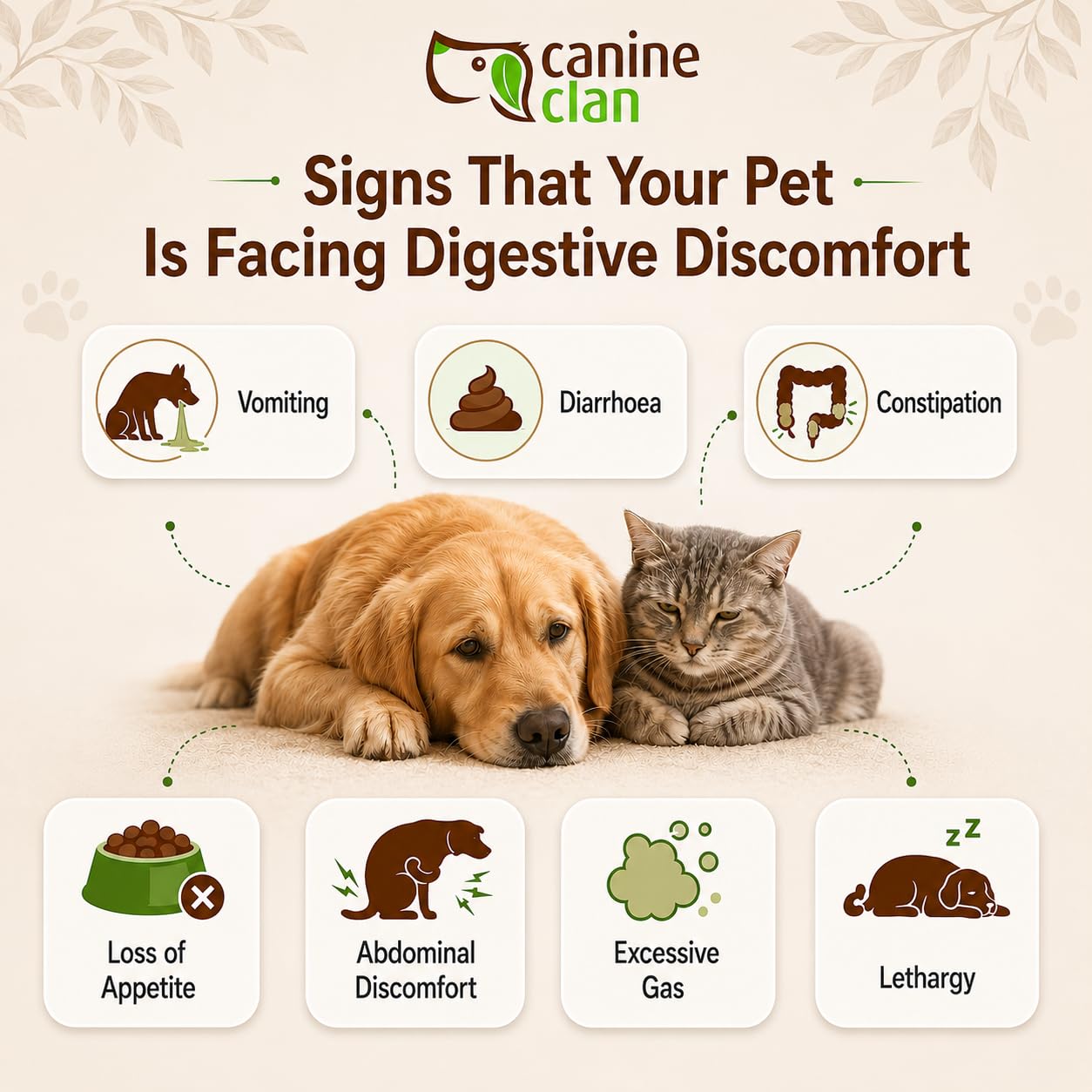 (Digestion) – for Dogs & Cats | Use in Vomiting, Constipation, Gas, Acidity, Indigestion, Appetite Loss | Supplement for Pets | 100 Grams — Amazon image 4