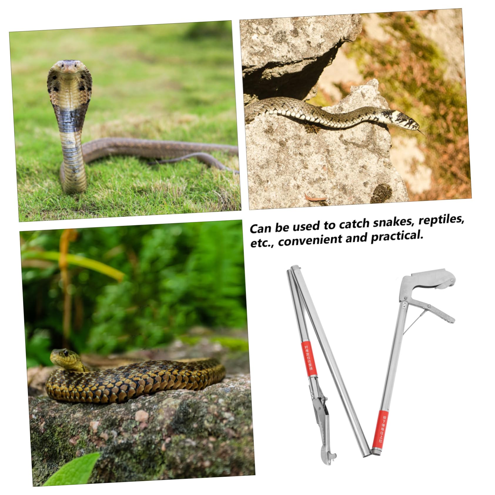 INOOMP 4piezas Pinza De Serpientes De Inoxidable Herramienta De Captura para Reptiles Plegada Agarre Seguro y Manejo Práctico para Entusiastas Vida Silvestre