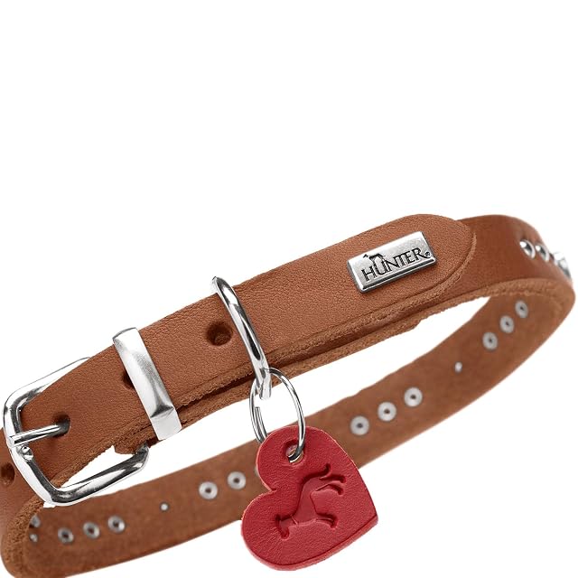 Foto 5 de 8 de HUNTER Aalborg Hearts - Collar para Perro