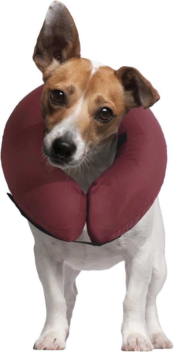 iCollrThe Inflatable Pet Collar for Cats and Dogs in Post Surgery Recovery - SMALL