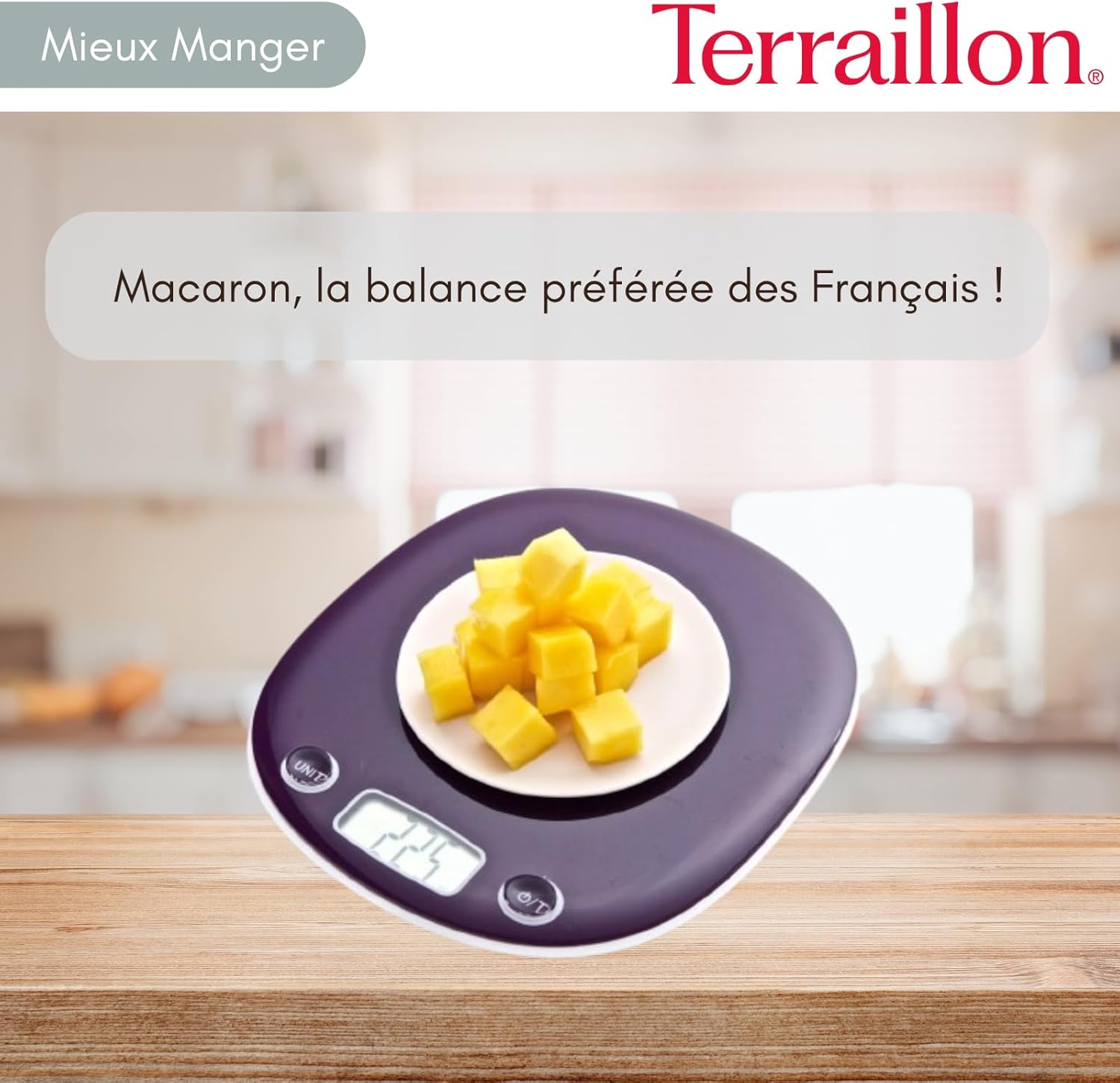 Terraillon Kitchen Scales, Tare, Liquid Conversions, Integrated Handle, 5 kg Capacity, Macaron, Plum