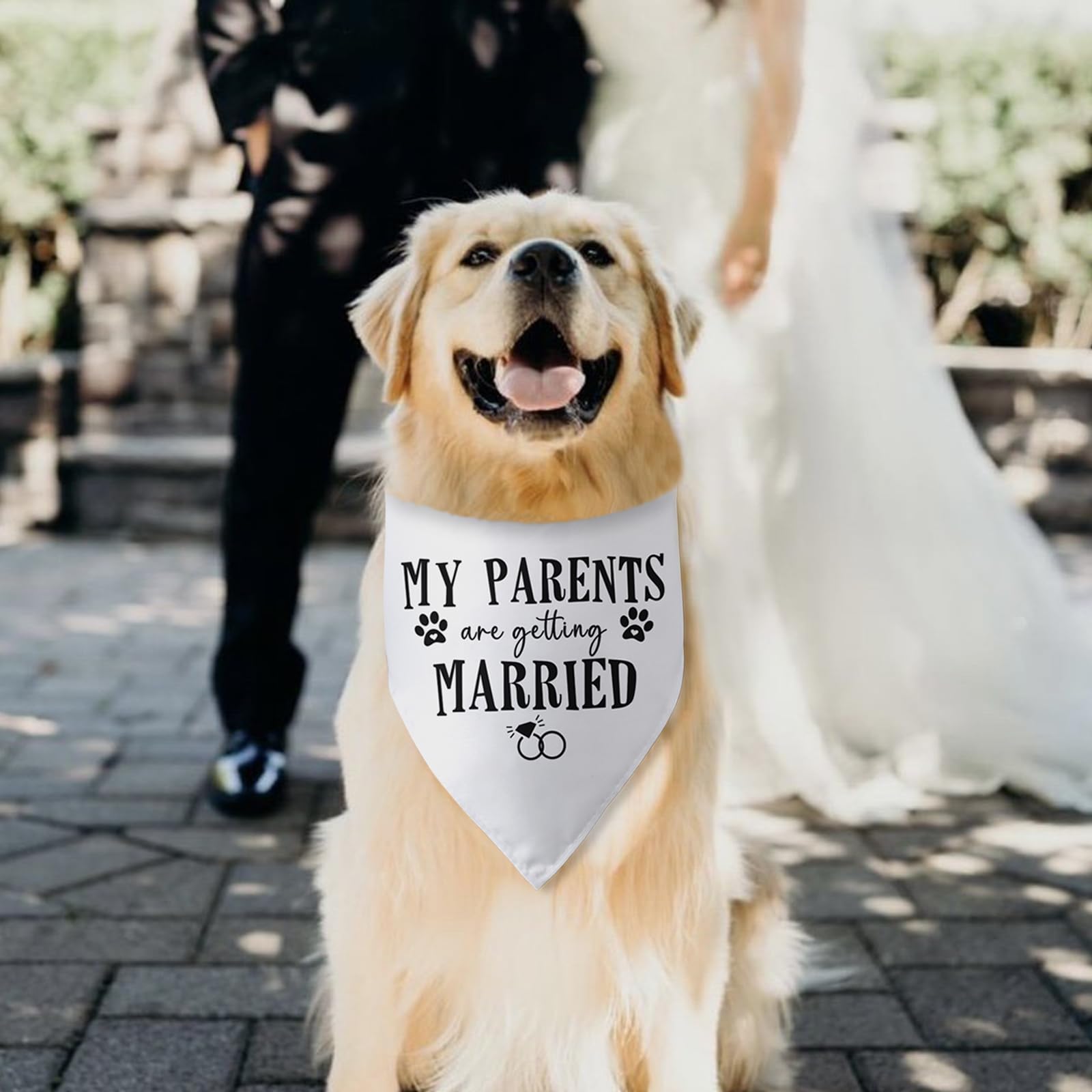 Hundehalstuch 'My Parents Are Getting Married' – 63,5x43,2 Cm, Weiches Flanell, Für Kleine Bis Große Hunde
