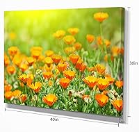 Vista 5 de Impresión floral de la lona de flores de caléndula amarilla