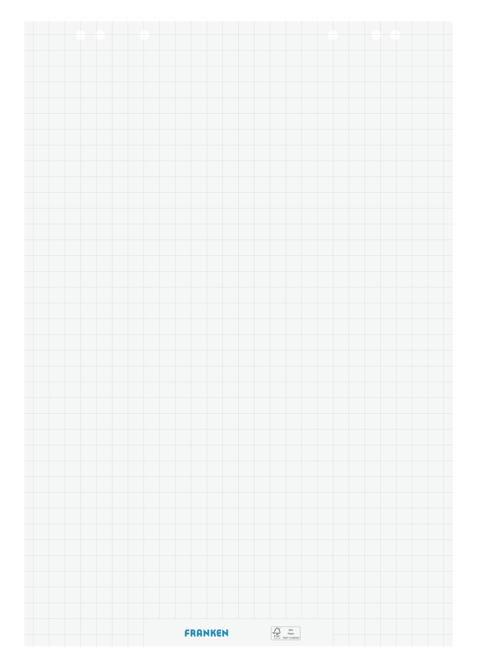 FRANKEN F2130 Papier pour tableau à rabat réversible 80 g/m² à carreaux et vierges 100 feuilles FSC