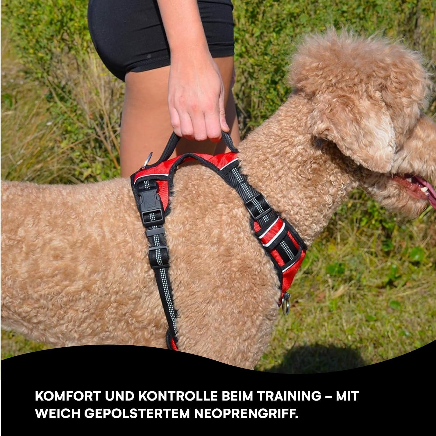 Dog Harness