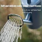 Arrosage de boîtes 1.5 Gallon pour les plantes de plein air, Grand pot d'arrosage de jardin en plastique avec bouche longue pour les usines de maison intérieure, pot d ́eau avec tête d'aspersion amovible (bleu)