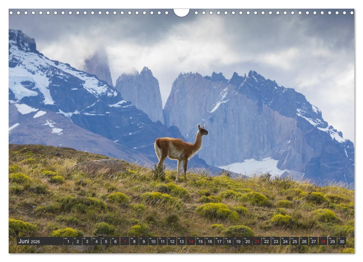 Traumwelt Chile (Wandkalender 2026 DIN A3 quer), CALVENDO Monatskalender (CALVENDO Natur)