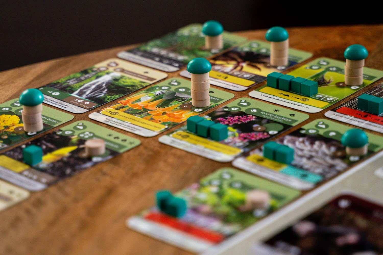 Skellig Games SKE48016 Earth