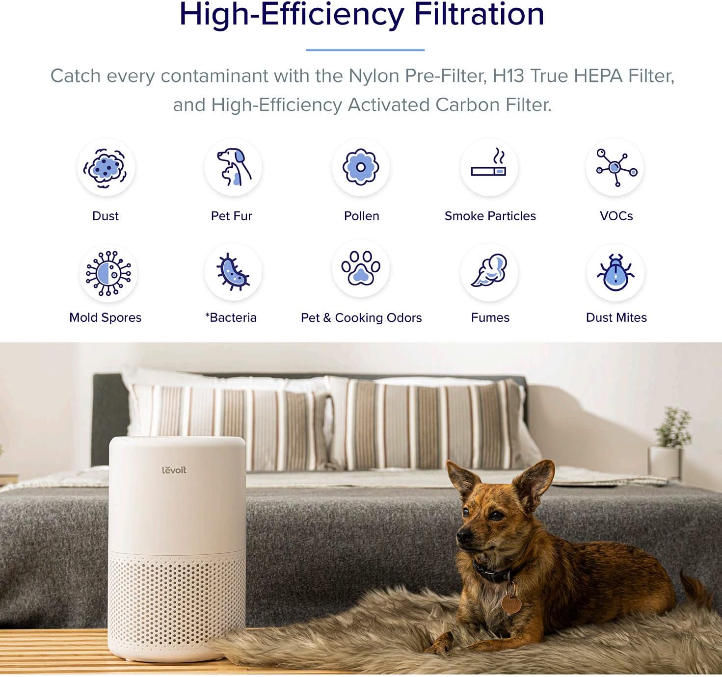Flash Sale LEVOIT Air Purifiers for Home Large Room, Smart WiFi Alexa Control, H13 True HEPA Filter for Allergies, Pets, Somke, Dust, Pollen, Ozone Free, 24dB Quiet Cleaner for Bedroom, Core 200S, White One-Day Sale: Up to 60% Off LEVOIT Air Purifiers for Home Large Room, Smart WiFi Alexa Control, H13 True HEPA Filter for Allergies, Pets, Somke, Dust, Pollen, Ozone Free, 24dB Quiet Cleaner for Bedroom, Core 200S, White