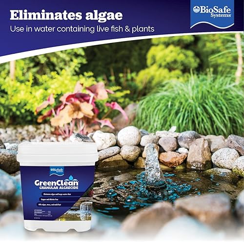 Miniatura 4 de Algacida granular BioSafe Systems 3000 1 GreenClean de 1 libras