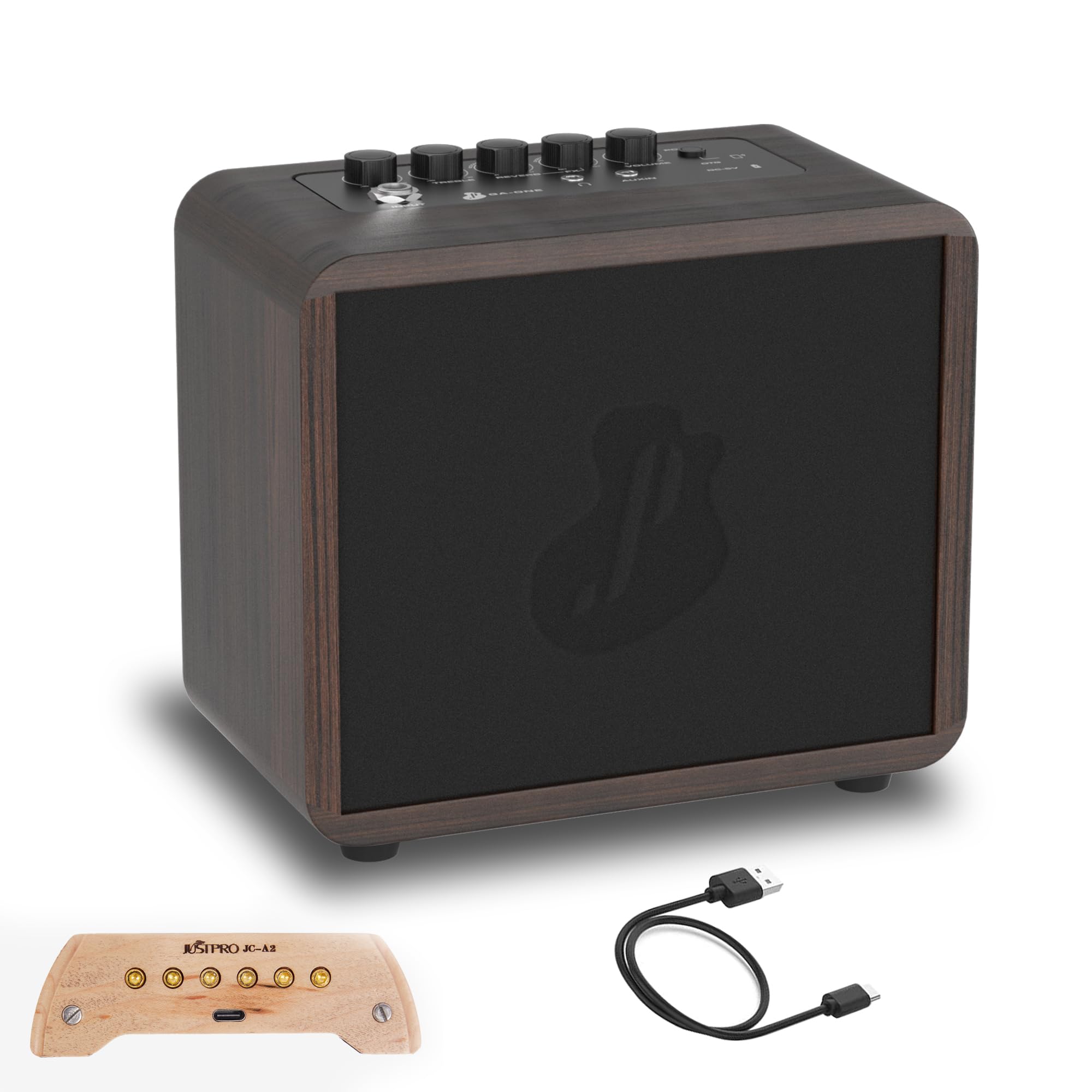 JUSTPRO 15W Guitar Amp Portable Mini Wirelees Guitar Practice Amp and Dual System Acoustic Guitar Pickup