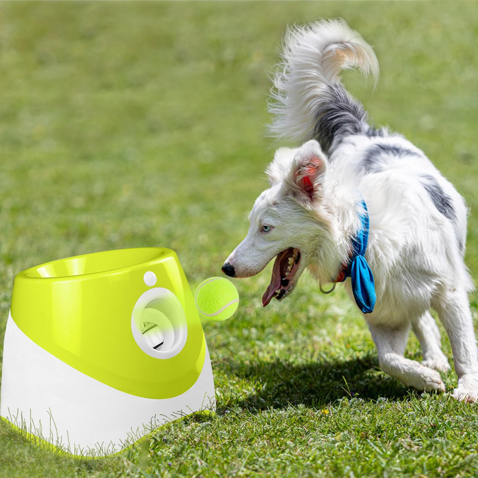 Galatée Lanzador Automático De Pelota, Pequeño Lanzador De Bolas Interactivo, Lanzacohadera Automática para Perros, Lanza De Pelota para Perros con 6 Mini Pelotas De Tenis(Verde Claro)