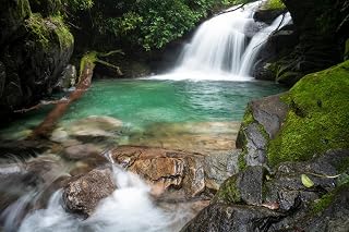 ART.COM Wall Photographic Print Beautiful Clear Water River in the Atlantic Rainforest, Rio De Janeiro, Brazil by Vitor Marigo, 24" x 16"