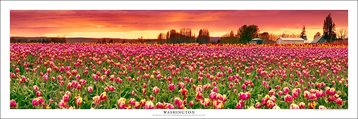 Vista Point Studio GallerySkagit Valley | Washington Panoramic Art Print Poster | 2017
