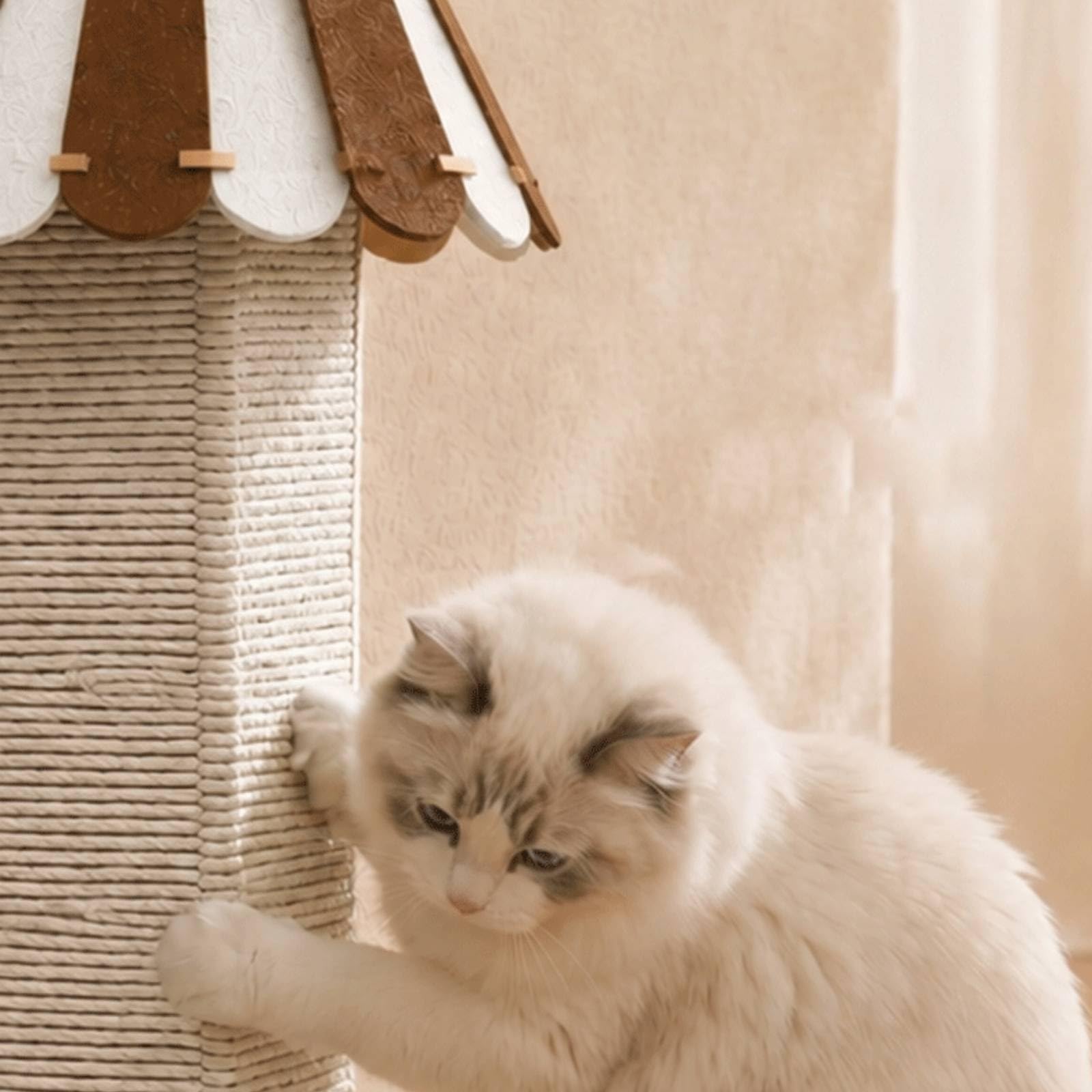 Poteau à Griffer Sisal Stable Griffoir avec Cor Sisal Griffoir avec Pompon pour Chats D'intérieur