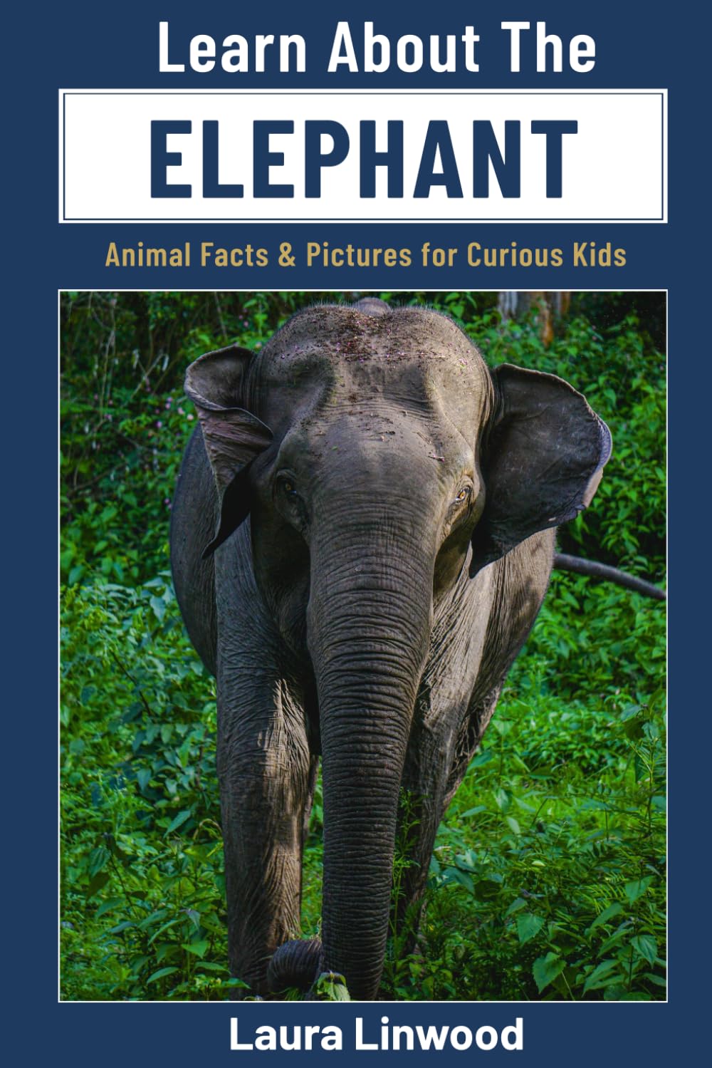 Learn About the Elephant: Animal Facts & Pictures for Curious Kids