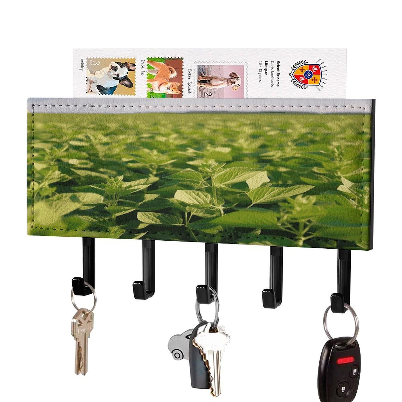 LDGSUPH Soybean Field Key Holder Wall Mount Key Hanger with 5 Hooks Fashion Key Organizer Rack Hanging Key Hooks with Mail Organizer Key Rack for Home Entryway Hallway Black-Style