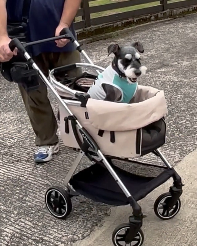 Amazon.co.jp: ペットカート 小型犬 中型 ワンタッチ 分離型 取り外し 