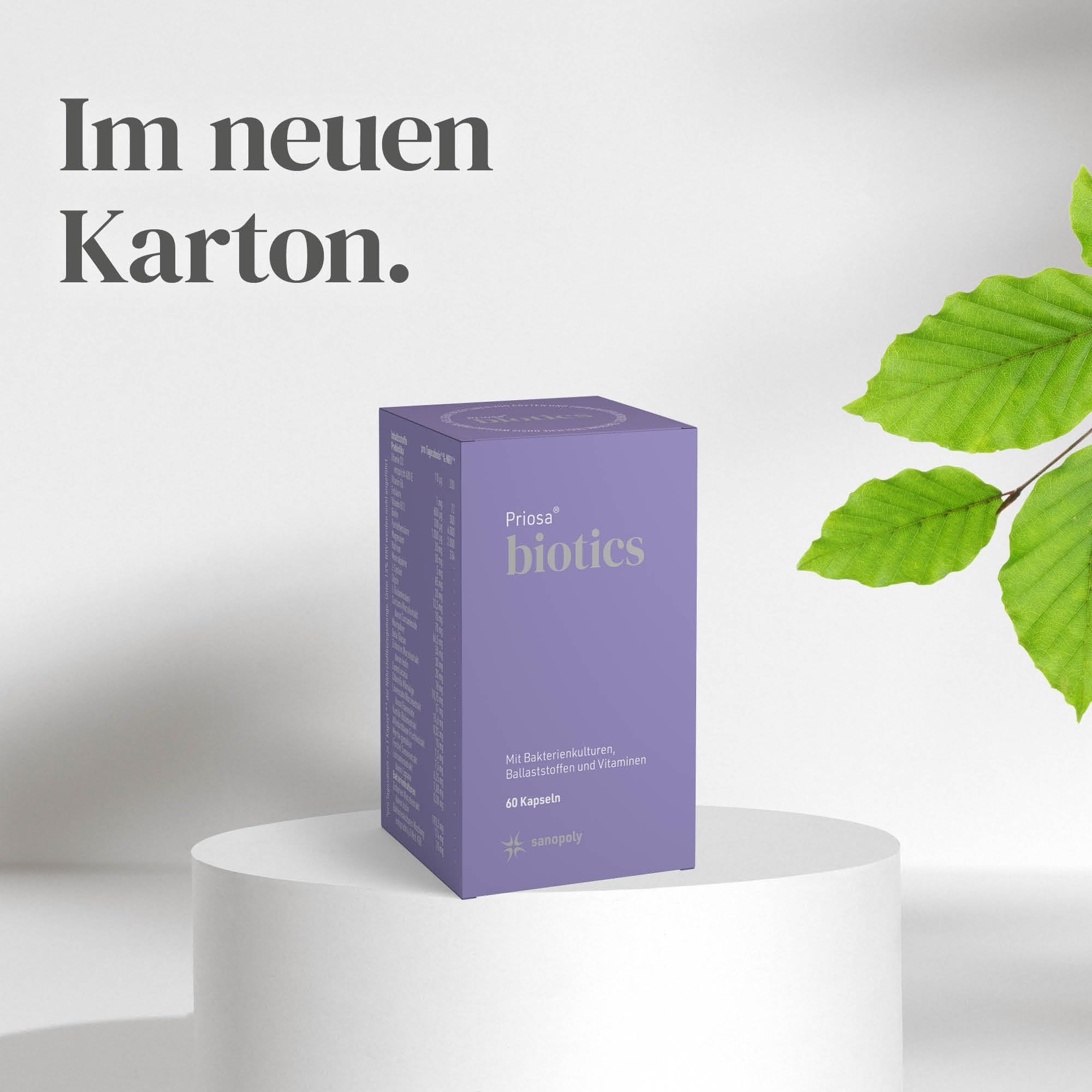 Priosa biotics 60 Kapseln I Mit Bakterienkulturen, Ballaststoffen und Vitaminen I Inulin aus Zichorie I 16 Bakterienstämme I Glutenfrei