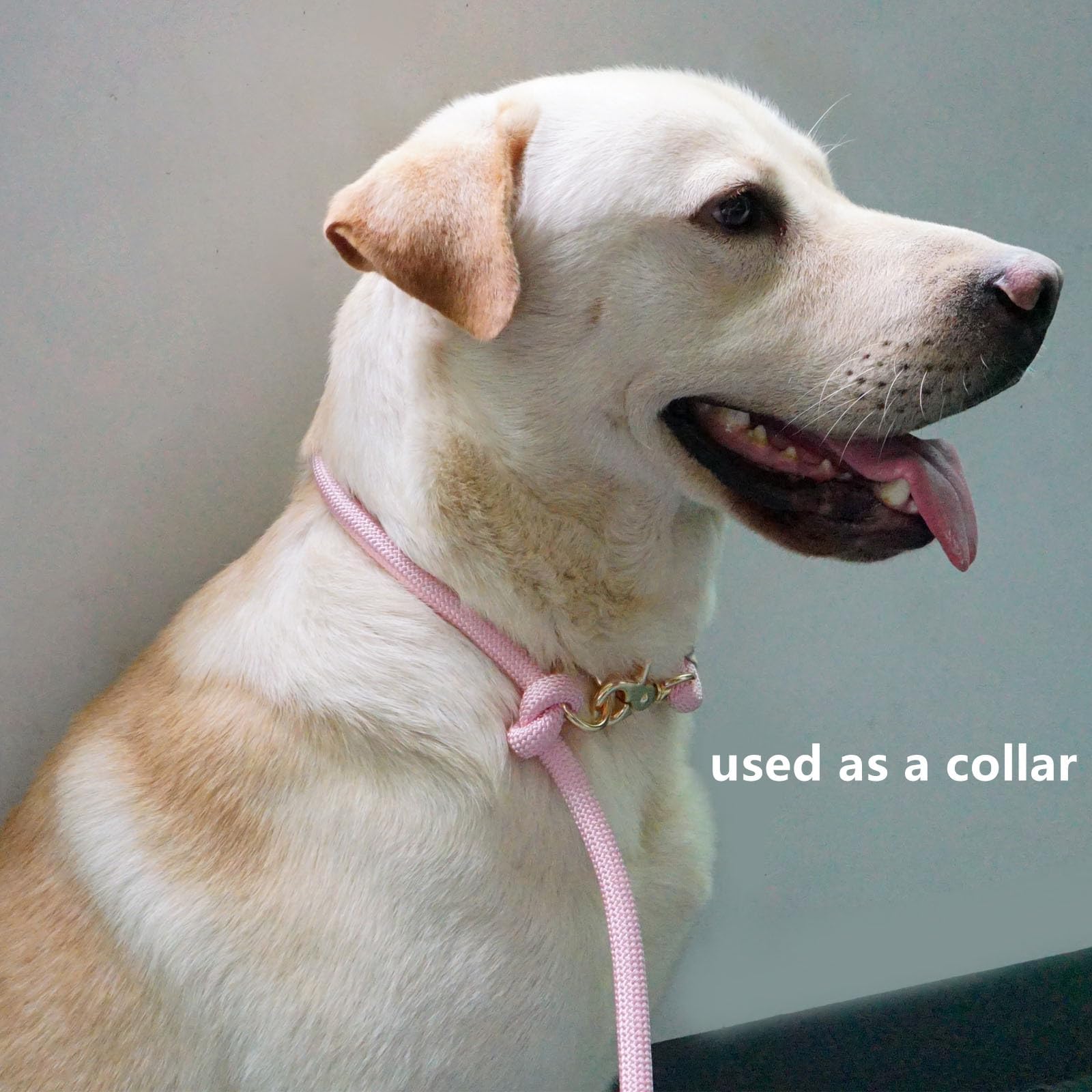 Multifunctional 8.5 ft Nylon Rope Hands Free Dog Leash for Running Small Medium Large Dogs, Waist Leash for Dog Walking, Adjustable Crossbody Over Shoulder Lead (Pink, 8.5FT x 10MM) - 5