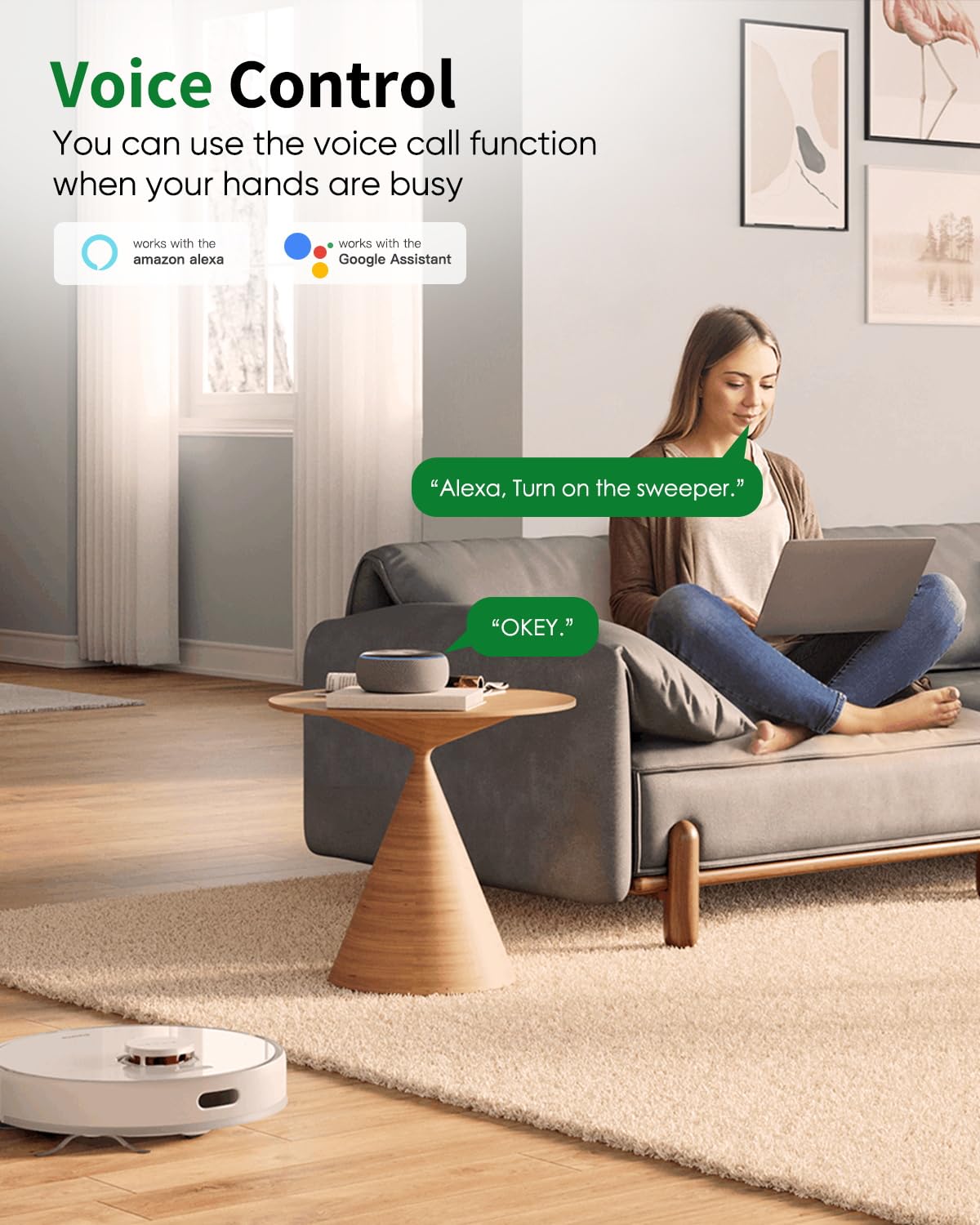 Alexa stopcontact, GreenSun WLAN-stopcontact, stroommeter