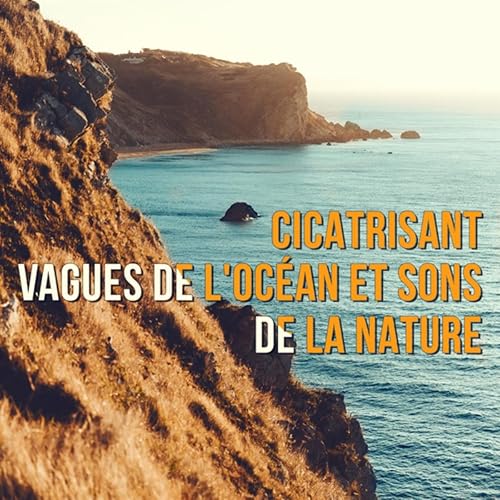 Rester Calme By Serenite Ocean On Amazon Music Amazon Com