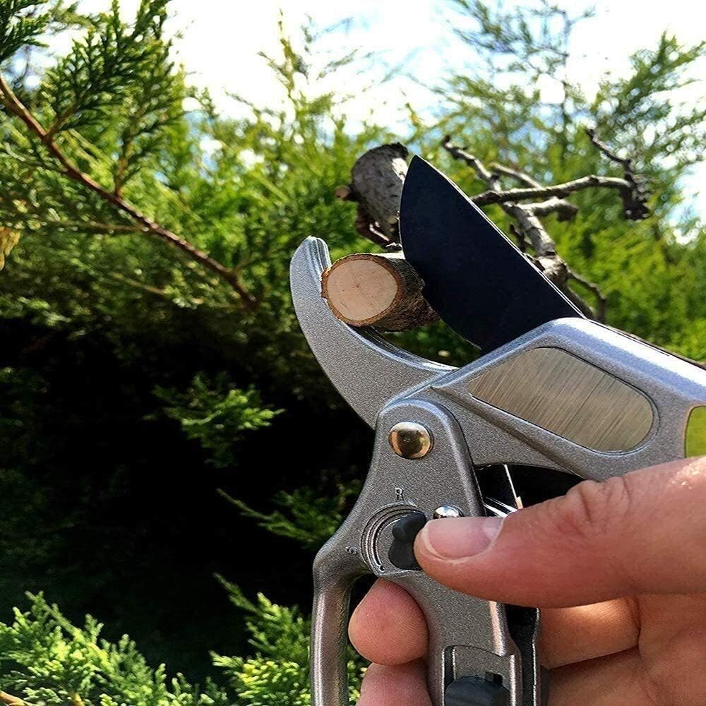 希少本　からだ化粧　藤井秀樹　小林照子　レトロ　日本芸術出版社　1984/10 希少本 からだ化粧 藤井秀樹 小林照子 レトロ 日本芸術出版社