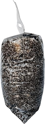 Miniatura 3 de rePotme Christmas Cactus Imperial - Mezcla de tierra para macetas - Mini bolsa (2 cuartos de galón)