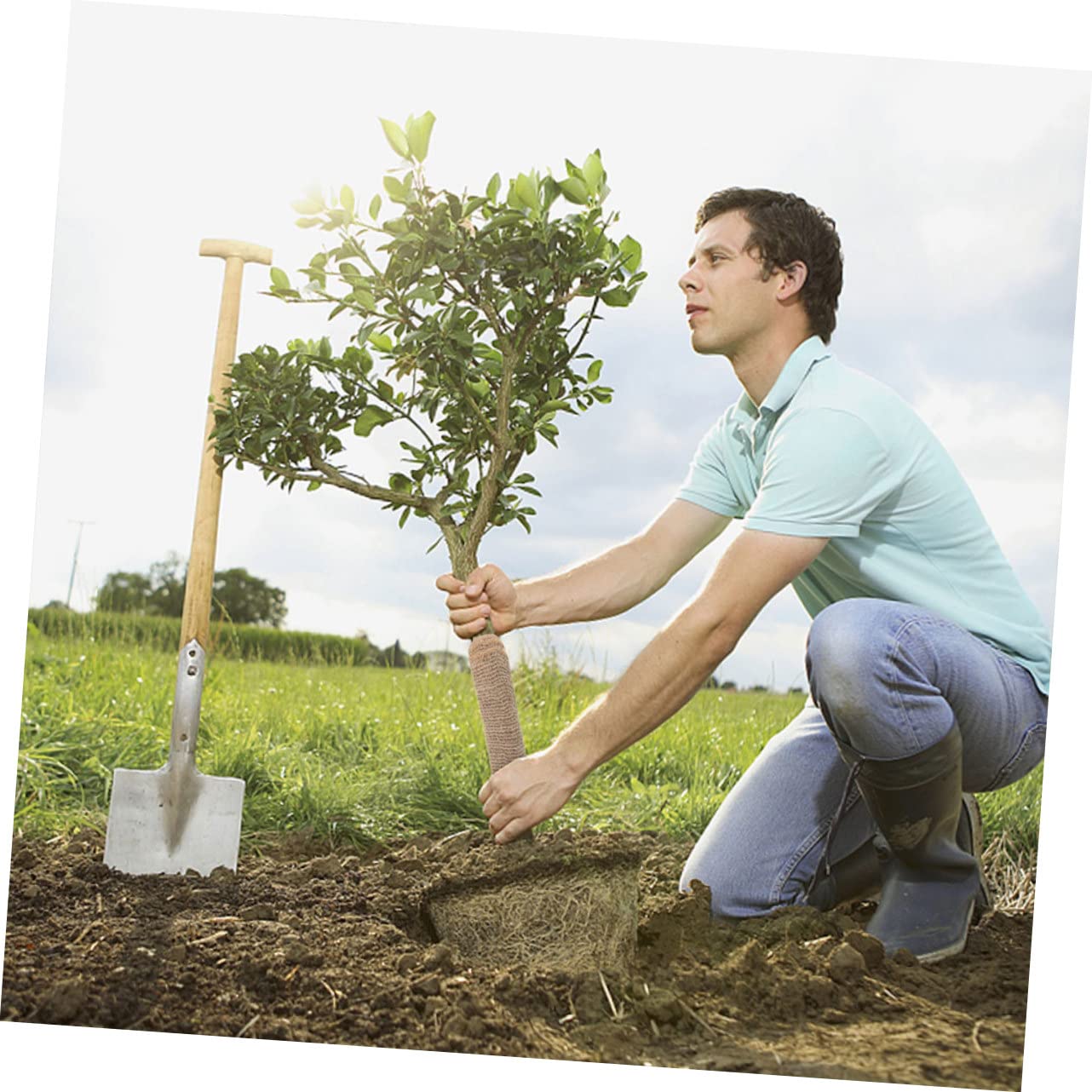 Protezione per Alberi in Lino 3 Pezzi Copertura Invernale