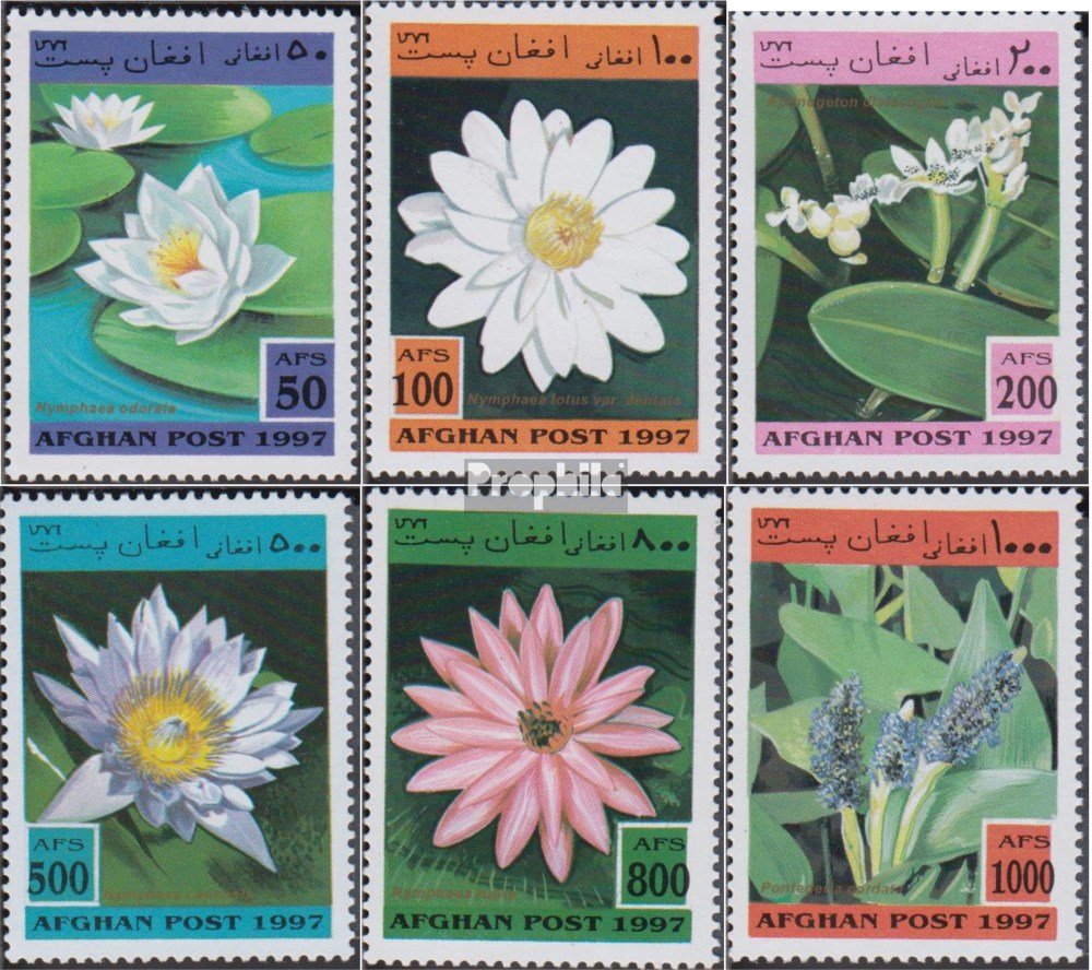 Afghanistan Briefmarken 1998 Pilze – Komplett Satz 1761-1766, Postfrisch MNH