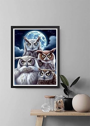 Miniatura 4 de Diymood - Kit de pintura de diamantes 5D para adultos, pintura de diamante con diamantes, suministros de arte, decoración de pared, 16 x 20 pulgadas