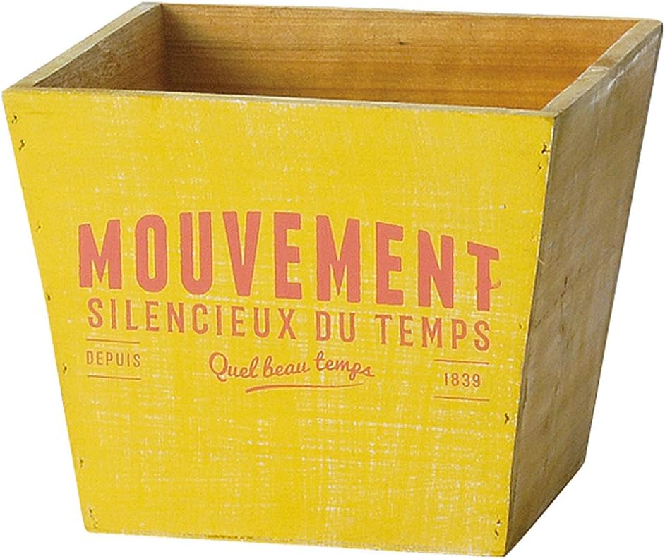 Greenhouse kazyuaruuddopotto Square Medium Yellow 3946 – A- Ye