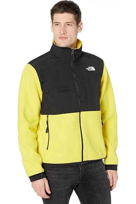 THE NORTH FACE Denali 2 Jacket