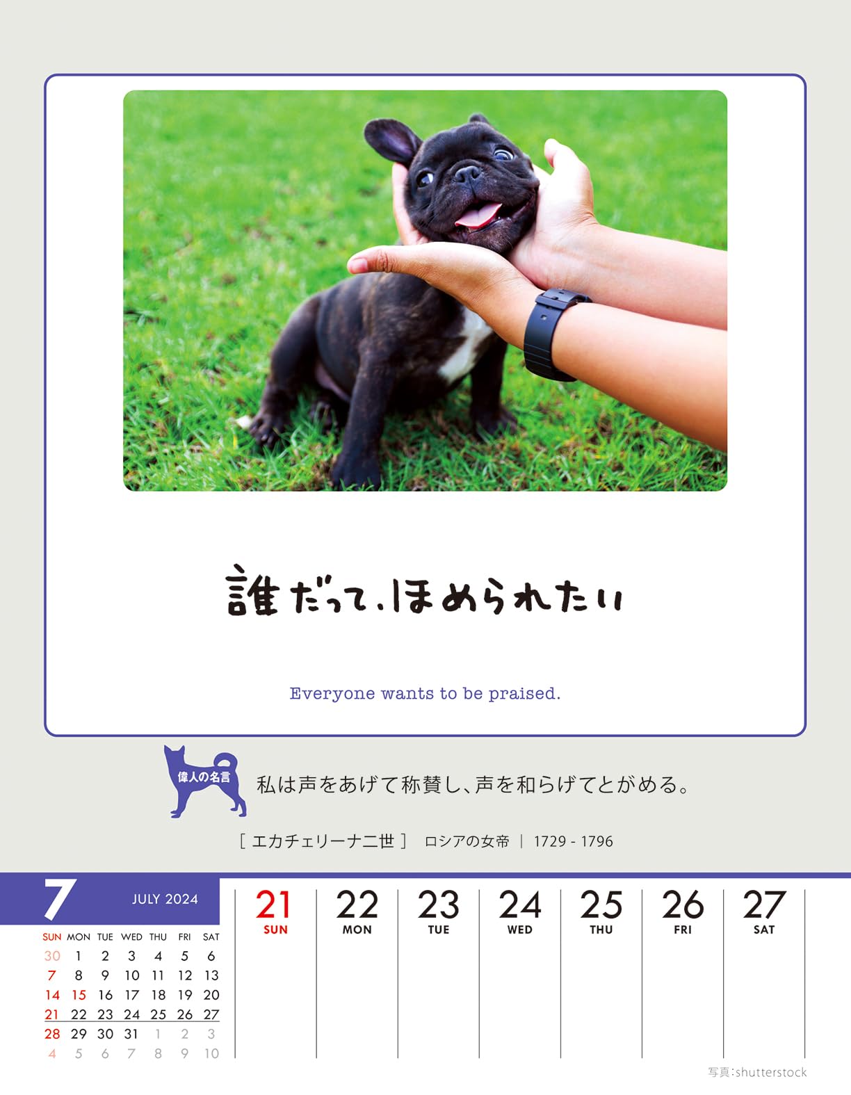 Amazon.co.jp: 2024年 トライエックス 人生はワンチャンス