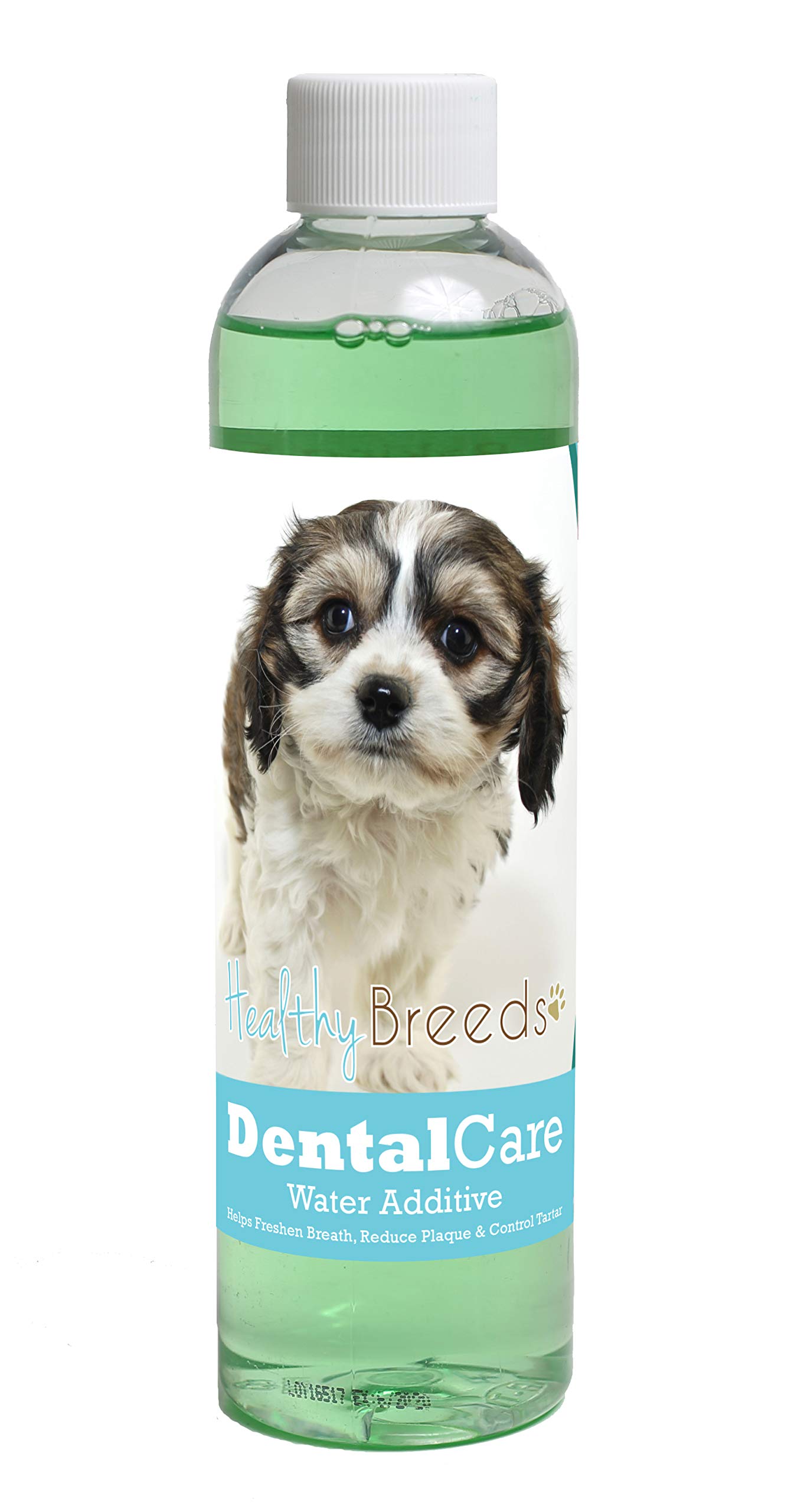 Healthy Breeds Dog Dental Care Water Additive for Cavachon - OVER 200 BREEDS - Helps Freshen Breath Reduce Plaque & Control Tartar - Mint Flavor - 8 oz