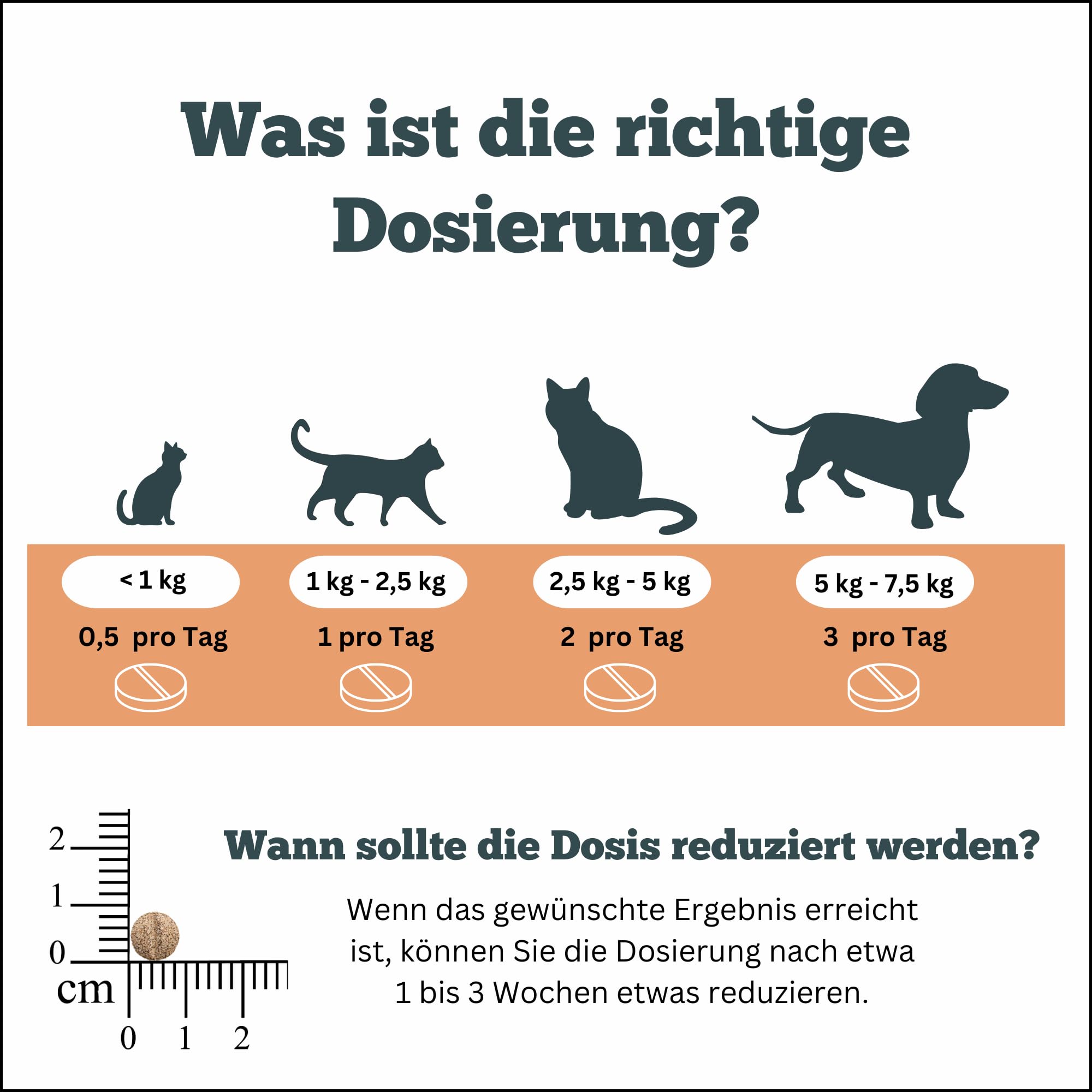 Omniderma - Juckreiz Tabletten bei Haut- & Fellproblemen Katzen, Kleine Hunde, Meerschweinchen & Kaninchen - Natürliche Kräuterformel bei Ekzem & Hautirritationen - 90 Tabletten à 250 mg