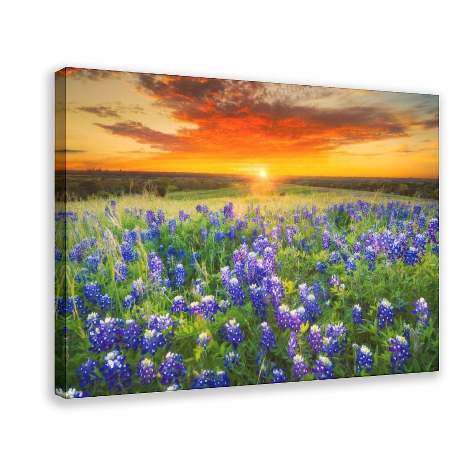 Bareronor Colorful Wildflowers Field Sea Canvas Poster Bedroom Decor Landscape Office Room Decor Gift 20" L X 30" W